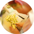 Icon: Person die Essen zubereitet als Symbol für das Team der Ernährungstherapie