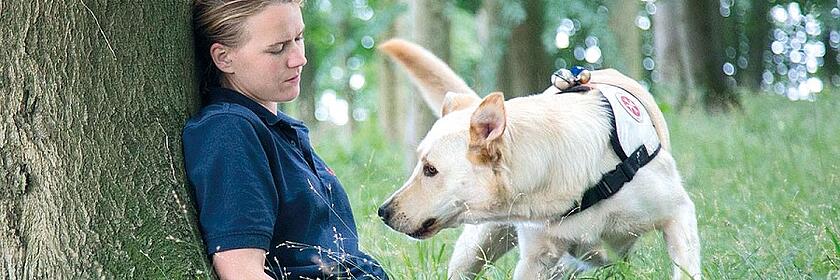 Übung macht den Meister - Rettungshund Sam findet die vermisste Person im Wald.