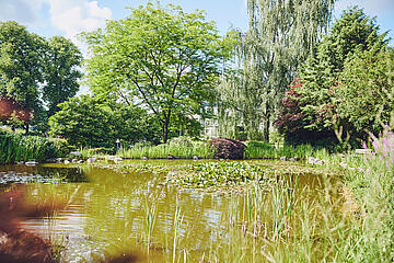 Der schöne Gartenteich gibt den Blick auf eine Baumgruppe frei