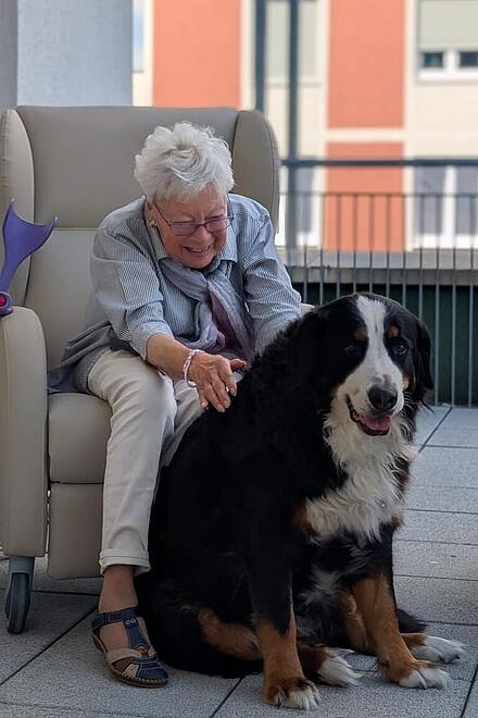 Tagespflege Johannisthal - Unser Berner Sennenhund Amy sorgt für Entspannung und Freude