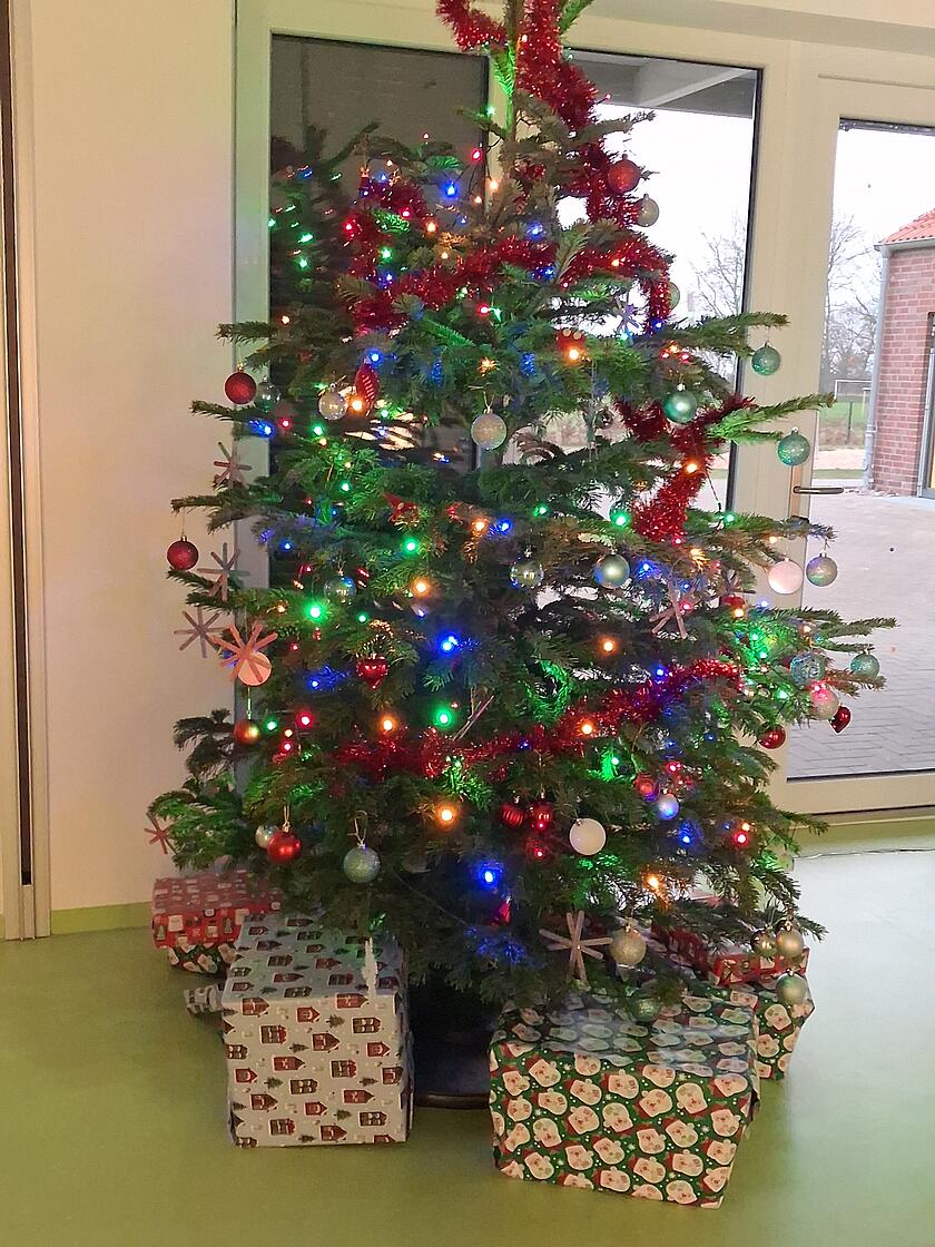 Tannenbaum
